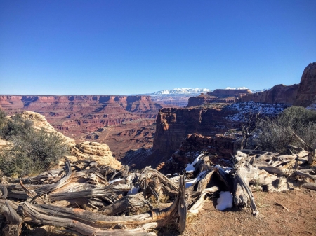 Island in the Sky, Utah - fun, nature, desert, cool, canyon