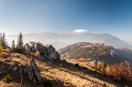 Piatra Craiului Mountains - forest, mountains, cool, fun, nature