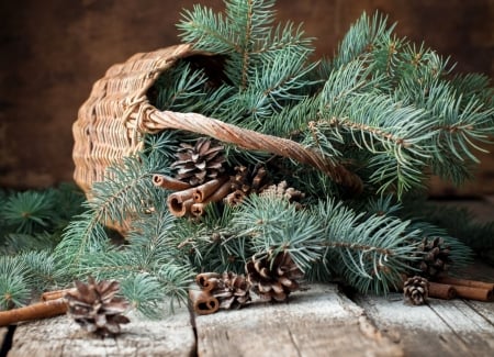 Pine Branches and Wicker basket - fir, branches, cinnamon, pine cone, wicker basket