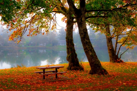 Fall foliage - lake, autumn, trees, bench, mist, foliage, serenity, village, fall, river, beautiful, rest