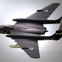 De Havilland Sea Vixen
