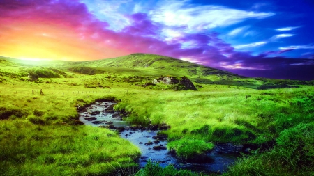 Warm evening - nature, sky, field, grass