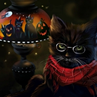 Midnight cat
