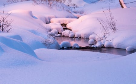 Winter - stream, winter, trees, snow