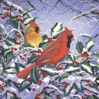 Winter cardinals