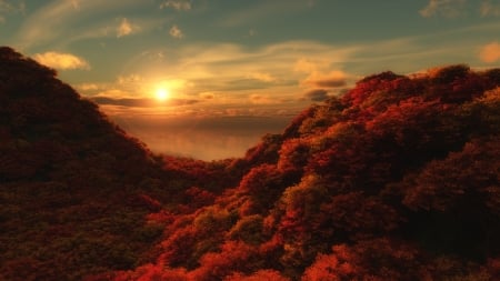 morning on red forest - morning, sky, forest, red, mountains