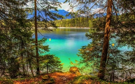 Lake in a forest - nature, calm, mountain, foresy