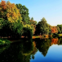 Lake Reflection 