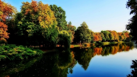 Lake Reflection  - nature, autumn, lake, trees, forest, reflection, mirror