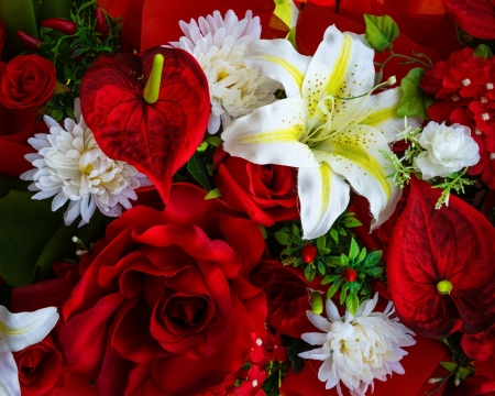 Beautiful Flowers - flowers, red, petals, bloom