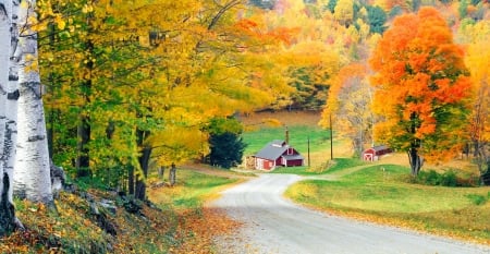 Autumn in Vermont - cottage, autumn, trees, peaceful, countryside, colorful, road, foliage, village, fall, beautiful, leaves, vermont, house