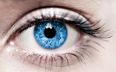 Eye - eye, abstract, woman, blue