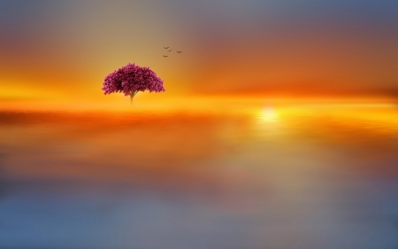 The tree of dreams - yellow, pink, orange, tree, fantasy, mist, josep sumalla, water blue, sun, luminos