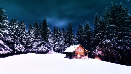 Cozy place - winter, nature, sky, forest