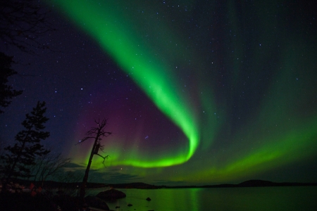 Aurora - nature, view, sky, beautiful, aurora