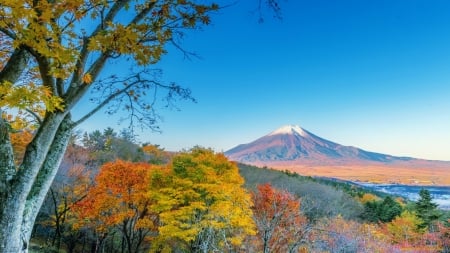 Autumn mountain - sky, autumn, fall, trees, mountain, beautiful, peak