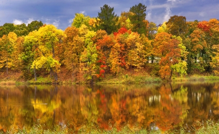 Fall reflections - autumn, lake, trees, serenity, fall, forest, tranquil, mirror, beautiful