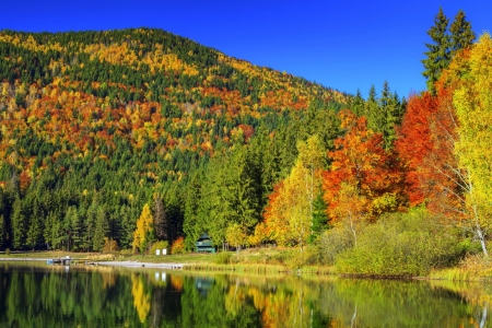 Forest in autumn - autumn, lake, sky, mountain, trees, serenity, reflections, fall, forest, tranquil, mirror, beautiful, colors