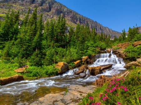 Mountain Fall - forest, cool, river, waterfall, fun, trees, nature, mountain