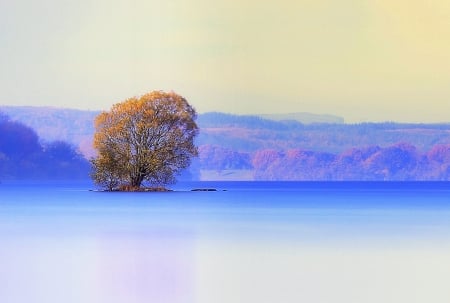 Blue Winter - morning, landscape, snow, tree, sunset