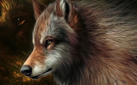 'Wolf'...... - nature, animals, wolves, wild