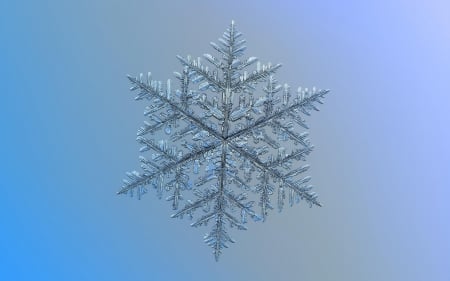 Snowflake - texture, winter, snowflake, blue