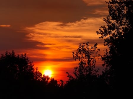 Glowing Sunset - forest, glow, clouds, trees, sunset, nature