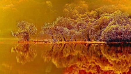 Lake Reflection - nature, lake, autumn, trees, reflection