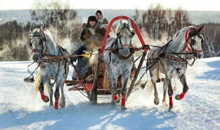 Troika - winter, people, sleigh, snow, sunshine