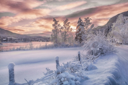 Deep Snow - clouds, trees, landscape, fence, sky