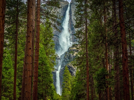 Mountain Fall - forest, mountains, waterfall, trees, nature