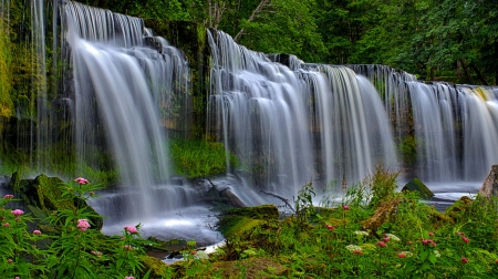 Waterfall - beautiful, waterfall, flower, nature