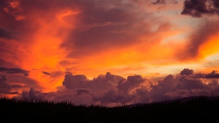 tangerine sky - hill, sky, clouds, hrass, tangerine