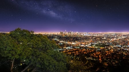 endless city lights - hill, trees, night, city, vast, lights