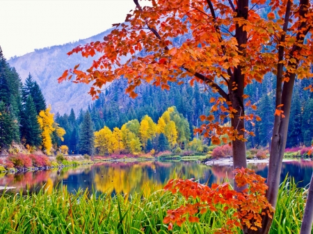 Lake Mountains - nature, autumn, lake, trees, forest, mountains