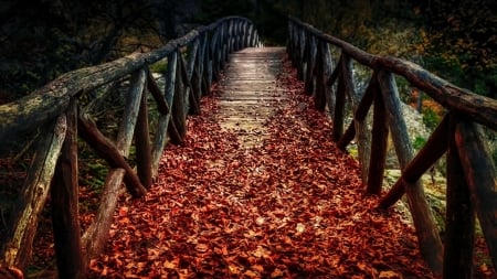 Autumn Bridge - silent, fall, forest, leaves, bridge, trees, nature, autumn