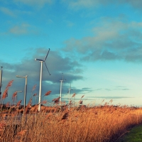 Monika Jurigane- Wind Turbines