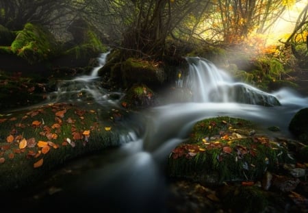 Autumn - nature, autumn, forest, beautiful, waterfall