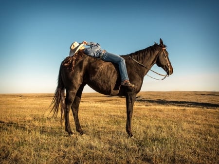 Range Rover - style, girls, western, women, models, hats, ranch, cowgirls, horses, brunettes, rodeo, fun, female, boots