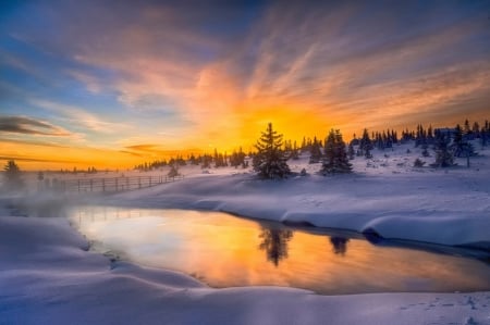 Winter in Norway - sky, norway, winter, fir, nature, snow