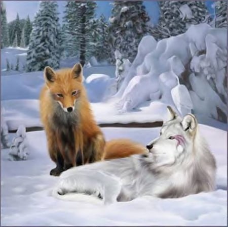 Painting - Painting art, Snow, pine trees, Maned, white, winter, Wolf