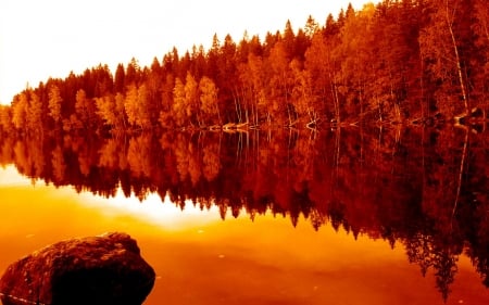 Lake Reflection - lake, forest, reflection, trees, nature, autumn