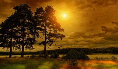 Sunset - trees, sunset, nature, sun