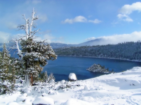 Lake Tahoe in Winter - trees, water, california, landscape, snow