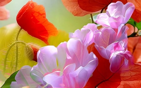 Beautiful Flowers - flowers, poppies, petals, painting