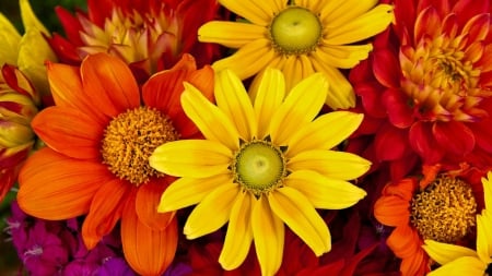 Autumn Bouquet - fall, flowers, bouquet, orange, yellow, autumn