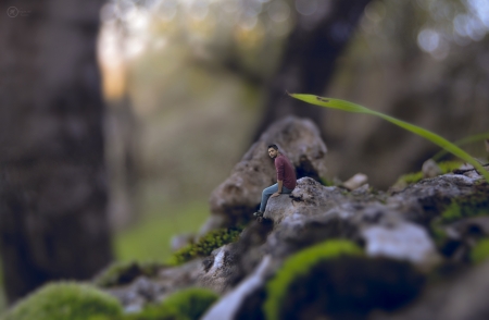 seating in moss land - light, miniature, wallpaper, leaf, designer, photoshop, green, tree, natural, surreal