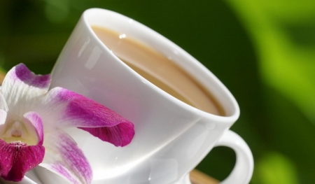 Good Morning - beautiful, flower, cup, coffee