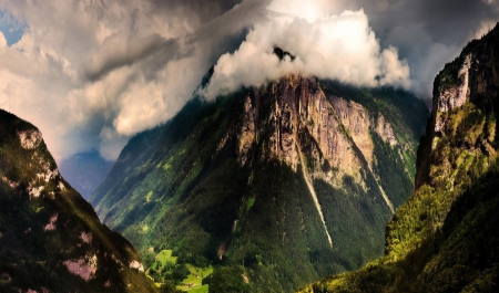 Splendor Our Planet - cloud, tree, amazing, mountain