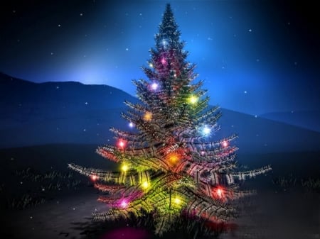 Christmas Night - christmas tree, christmas night, light, holiday